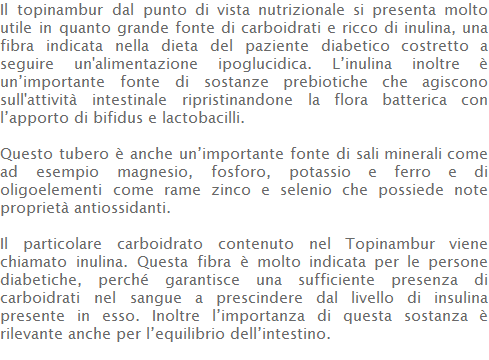 Il topinambur dal punto di vista nutrizionale si presenta molto utile in quanto grande fonte di carboidrati e ricco di inulina, una fibra indicata nella dieta del paziente diabetico costretto a seguire un'alimentazione ipoglucidica. L’inulina inoltre è un’importante fonte di sostanze prebiotiche che agiscono sull'attività intestinale ripristinandone la flora batterica con l’apporto di bifidus e lactobacilli.  Questo tubero è anche un’importante fonte di sali minerali come ad esempio magnesio, fosforo, potassio e ferro e di oligoelementi come rame zinco e selenio che possiede note proprietà antiossidanti.  Il particolare carboidrato contenuto nel Topinambur viene chiamato inulina. Questa fibra è molto indicata per le persone diabetiche, perché garantisce una sufficiente presenza di carboidrati nel sangue a prescindere dal livello di insulina presente in esso. Inoltre l’importanza di questa sostanza è rilevante anche per l’equilibrio dell’intestino.  